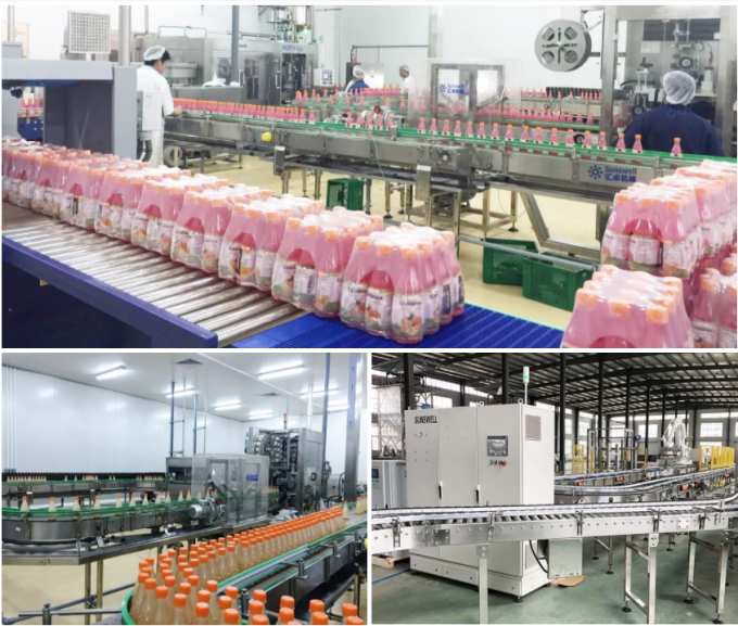 La chaîne de production de presse-fruits de fruit PLC a commandé les machines de mise en bouteilles de boissons de saveur 1